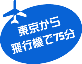 東京から飛行機で75分