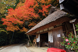 熊野古道中辺路・とがのき茶屋
