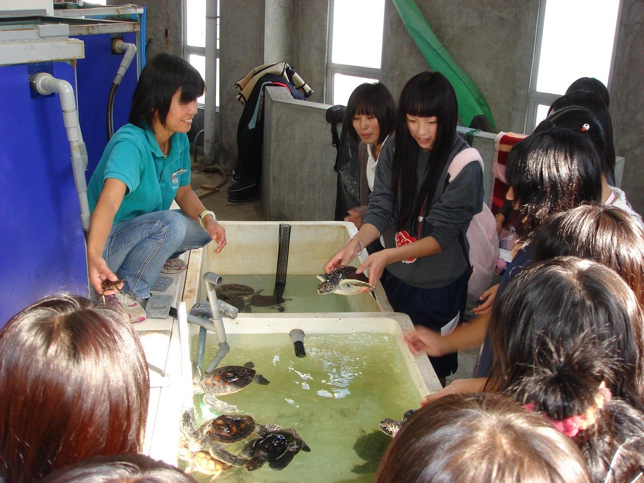 水族館飼育体験