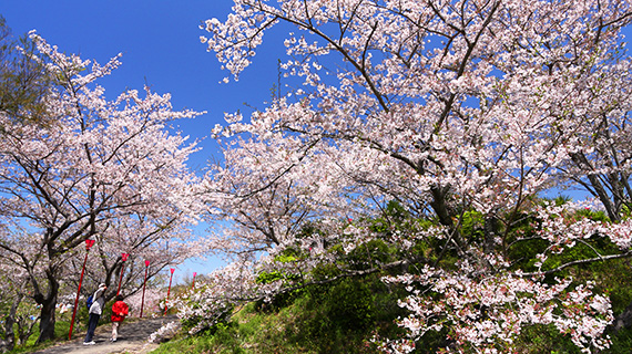 平草原公園の写真